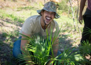 Agroforestry Carbon anuncia captação de R$ 1,1 milhão