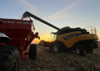 Agronegócio paranaense ganha protagonismo no cenário nacional e global