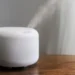 Com queimadas cada vez mais frequentes, purificadores de ar se tornam aliados na prevenção de doenças respiratórias