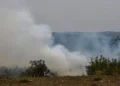 Sobe para 2.300 número de animais da pecuária mortos em incêndios no interior de SP