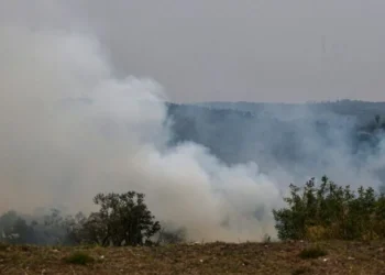Sobe para 2.300 número de animais da pecuária mortos em incêndios no interior de SP