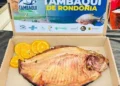 A Festa do Pescado de SP ocorre neste fim de semana