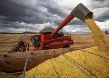 IBGE melhora projeção, mas diz que safra deve ser menor em 2024