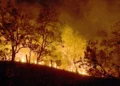 Brasil concentra 76% dos incêndios na América do Sul, diz Inpe
