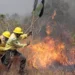 Governo se prepara para abrir crédito extra para combate a incêndios