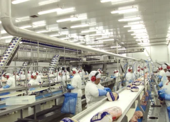 JBS projeta Ebitda de até R$ 36,2 bilhões em 2024