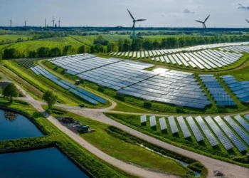 Financiamento global aposta na sustentabilidade como pilar