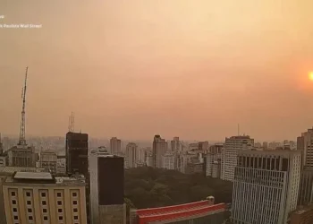 Queimadas em SP geraram prejuízos de R$ 2 bilhões para o agronegócio