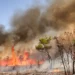 PF abre inquérito para investigar incêndio em Brasília