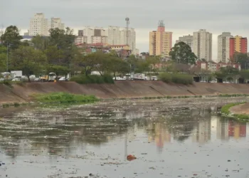 Mancha de poluição no Tietê aumentou 29%, aponta estudo