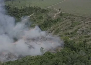 Fumaça de incêndios cobre o céu do Brasil
