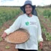 Empresa de bioenergia conquista selo de sustentabilidade