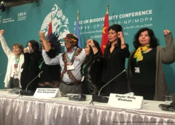 América Latina assume protagonismo na preservação da biodiversidade