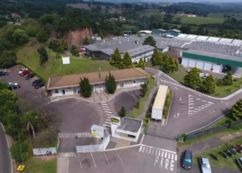 Setor de alimentos se destaca no crescimento do e-commerce no Brasil