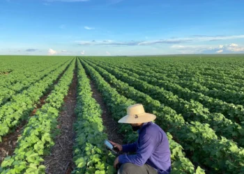 Setor celebra Dia do Trabalhador Rural com liderança em empregos e alta valorização profissional