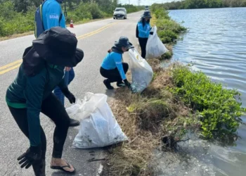 Limpeza de manguezais mobiliza comunidades na costa amazônica
