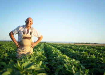 Secretaria de Agricultura de SP premia melhores iniciativas de combate à fome e segurança alimentar