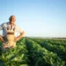 Secretaria de Agricultura de SP premia melhores iniciativas de combate à fome e segurança alimentar