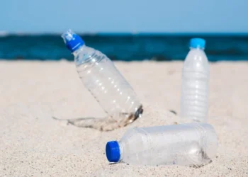 Oceanos com mais plástico: o impacto da indústria da beleza no meio ambiente