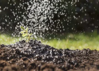Crise hídrica global ameaça mais de 50% da produção de alimentos