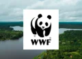 Relatório da WWF alerta sobre declínio catastrófico de vida selvagem