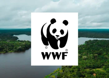 Relatório da WWF alerta sobre declínio catastrófico de vida selvagem