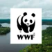 Relatório da WWF alerta sobre declínio catastrófico de vida selvagem