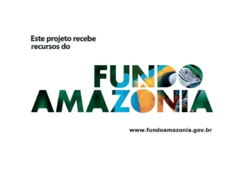 Fundo Amazônia recebe nova doação de US$ 60 milhões da Noruega