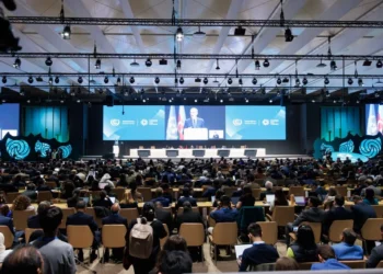 COP 29 coloca criptoativos e plástico na mira do financiamento climático