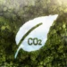Mercado de crédito de carbono promete se consolidar em 2025