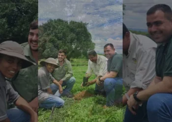 Empreendedorismo feminino: histórias de superação e sucesso