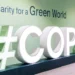 Brasil inaugura participação social na COP29