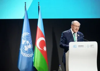 Brasil apresenta meta de emissões na COP29