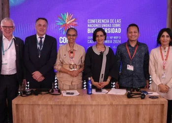 COP 16 cria orgão para atender povos originários