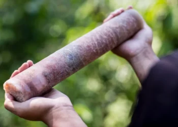 Brazil Potash levanta U$ 3O milhões em IPO