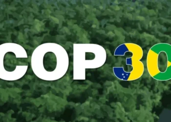 Setores do agro apresentam documento a caminho da COP30