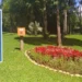 Projeto brasileiro para preservação de abelhas fica entre os 20 mais influentes na América Latina 2024