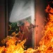 Notícias de incêndios estruturais aumentam 10,1% até outubro