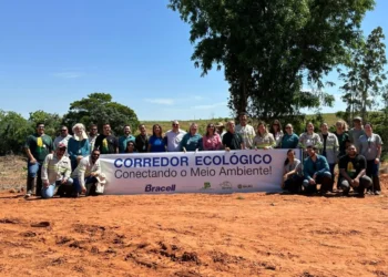 Bracell cria corredor ecológico para fortalecer biodiversidade