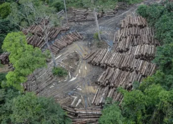 Brasil tem 95 milhões de hectares à espera de ações de restauração