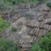 Brasil tem 95 milhões de hectares à espera de ações de restauração