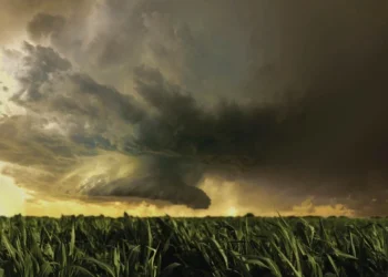 Furacões, tempestades severas e inundações geram perdas seguradas acima de US$ 100 bilhões pelo 5º ano consecutivo