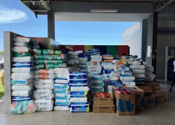 VIXPar doa mais de 28 mil itens à Afecc em ação solidária