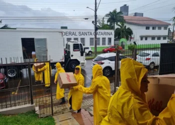 Kellanova: mais de 100 mil pessoas são beneficiadas por 160 toneladas de alimentos doados