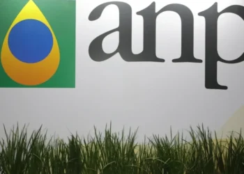 Diretora interina assume controle da ANP 