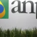 Diretora interina assume controle da ANP