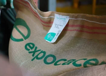 Expocacer bate recorde e registra aumento de 41% em exportação de cafés