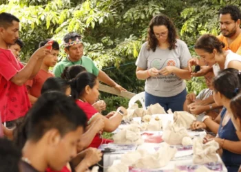 Bioeconomia pode frear pressões na maior fronteira de desmatamento