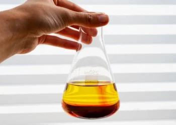 Ministério de Minas e Energia prevê incentivos para que usinas termelétricas utilizem biocombustíveis