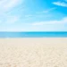 Viroses na praia: saiba como se proteger no verão